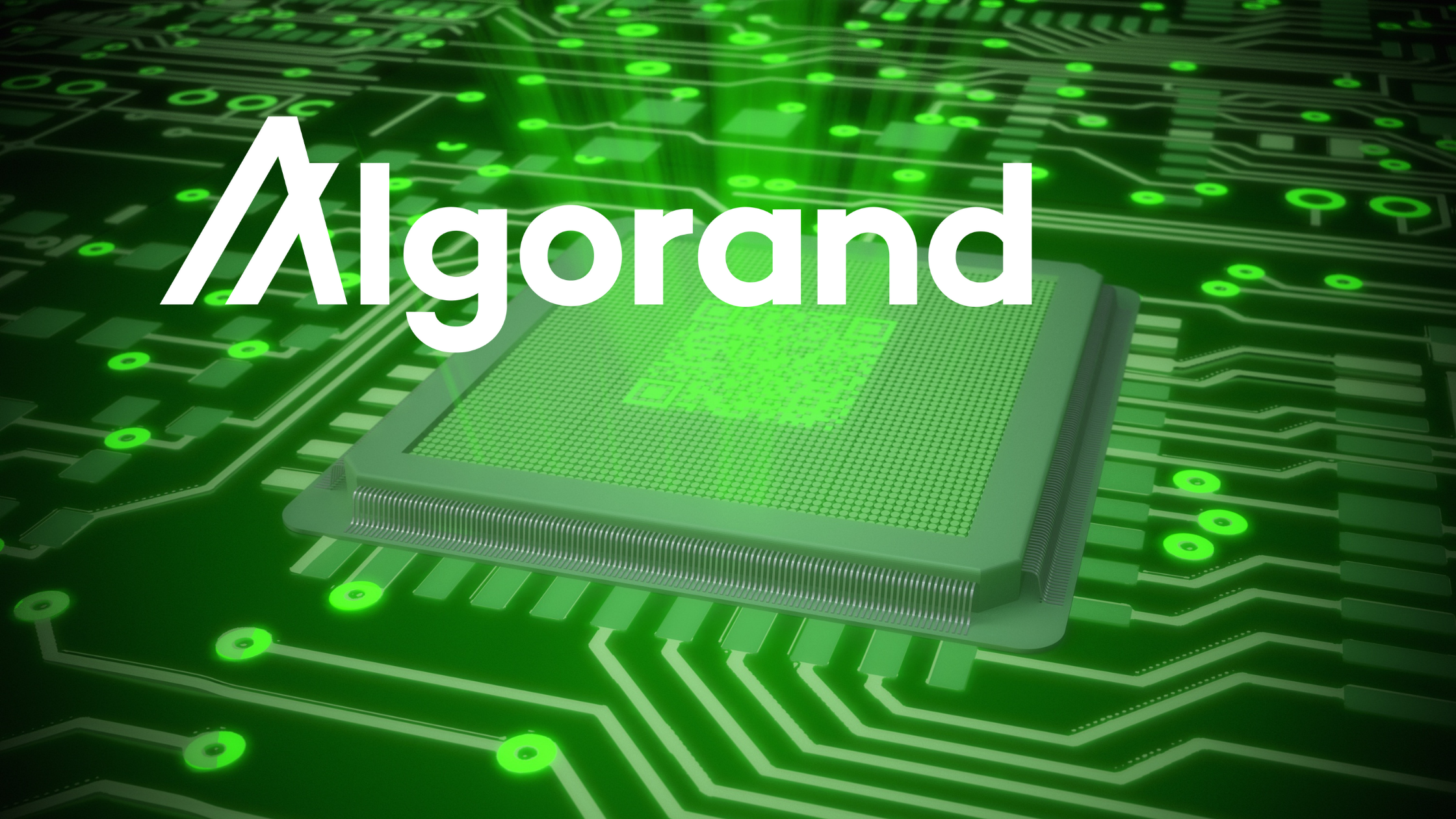 What is Algorand