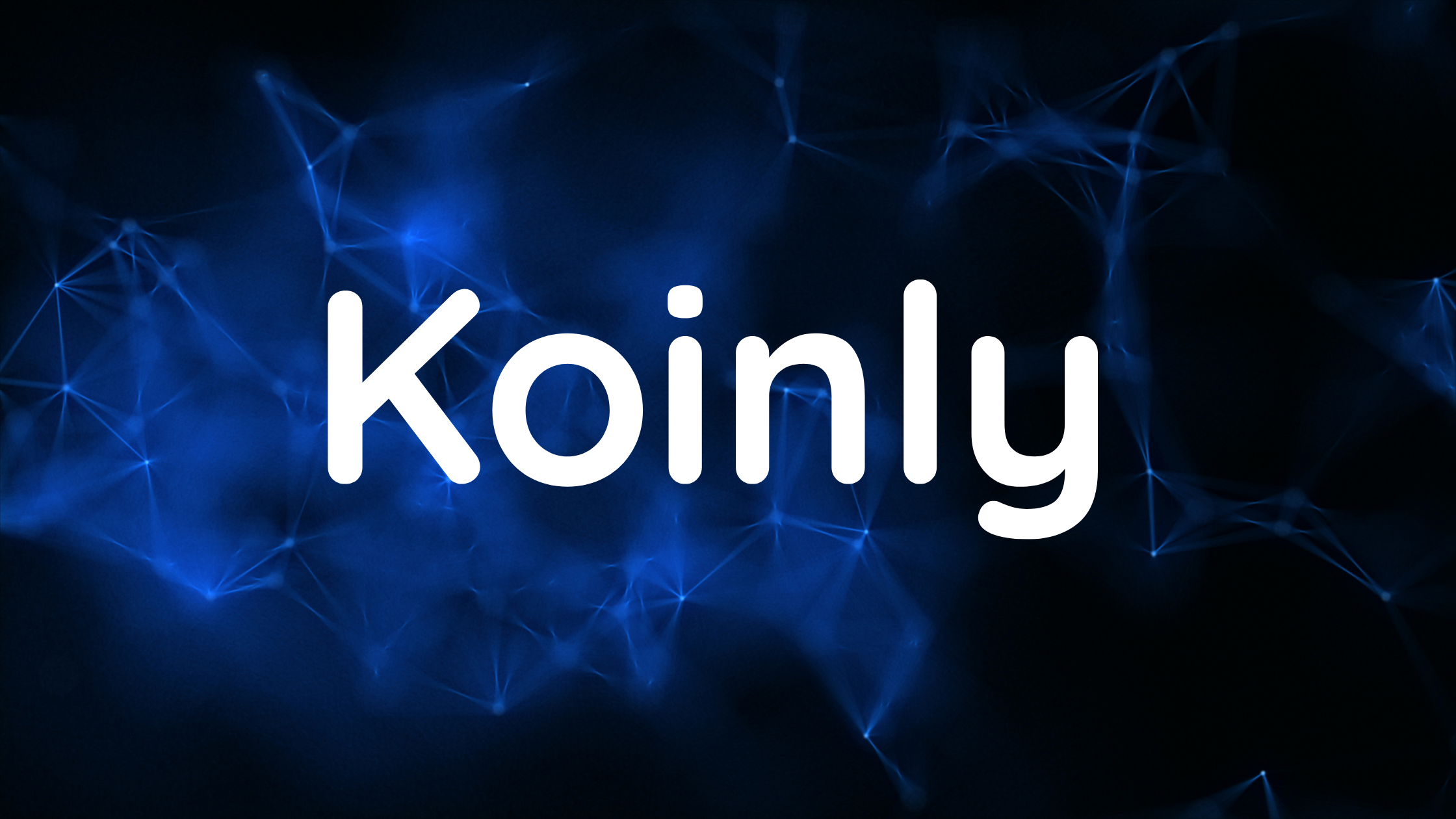 Koinly review