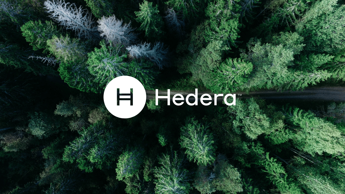 Hedera Sustainable Impact Fund