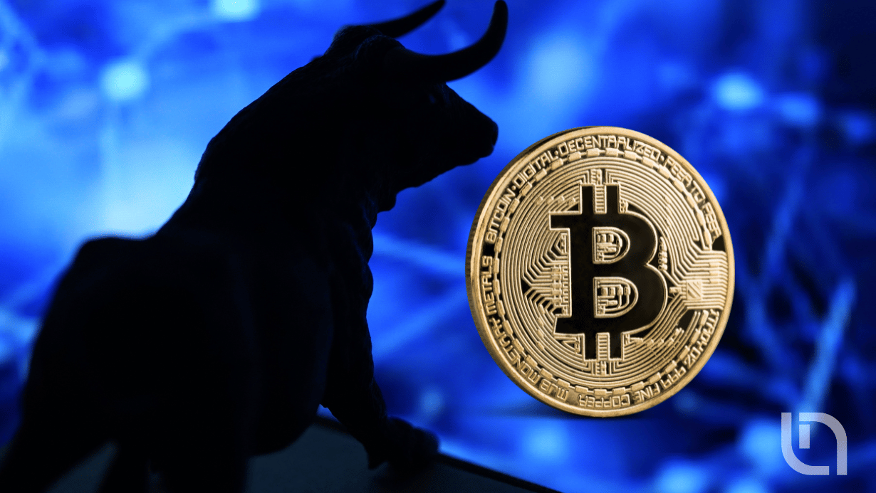 Bitcoin Bull Market After Halving